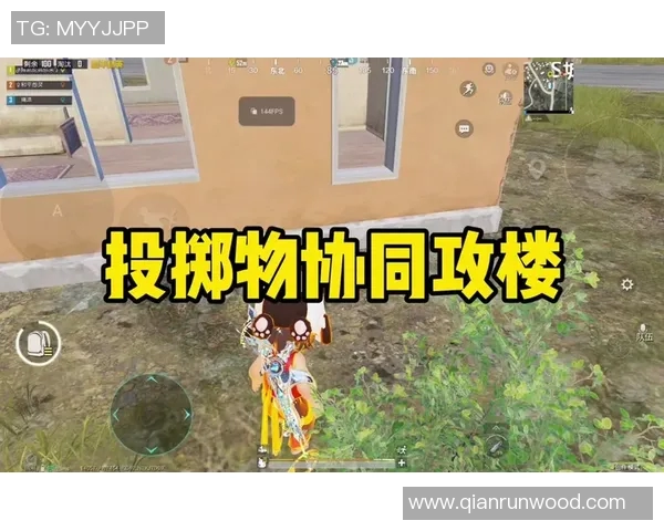 探索PEL诚c的创新理念与实践对未来发展的深远影响